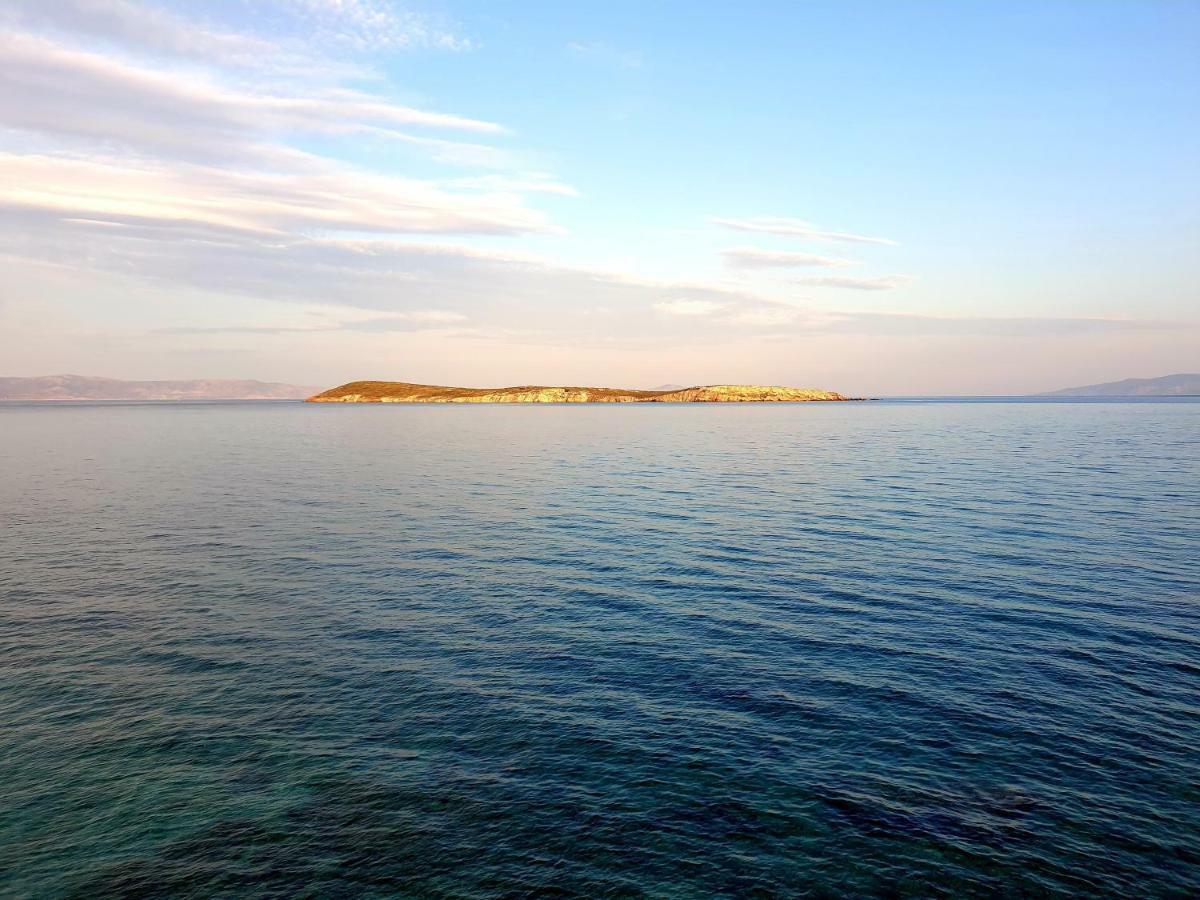 Tonia Apartments Paros Chrisi Akti  Zewnętrze zdjęcie