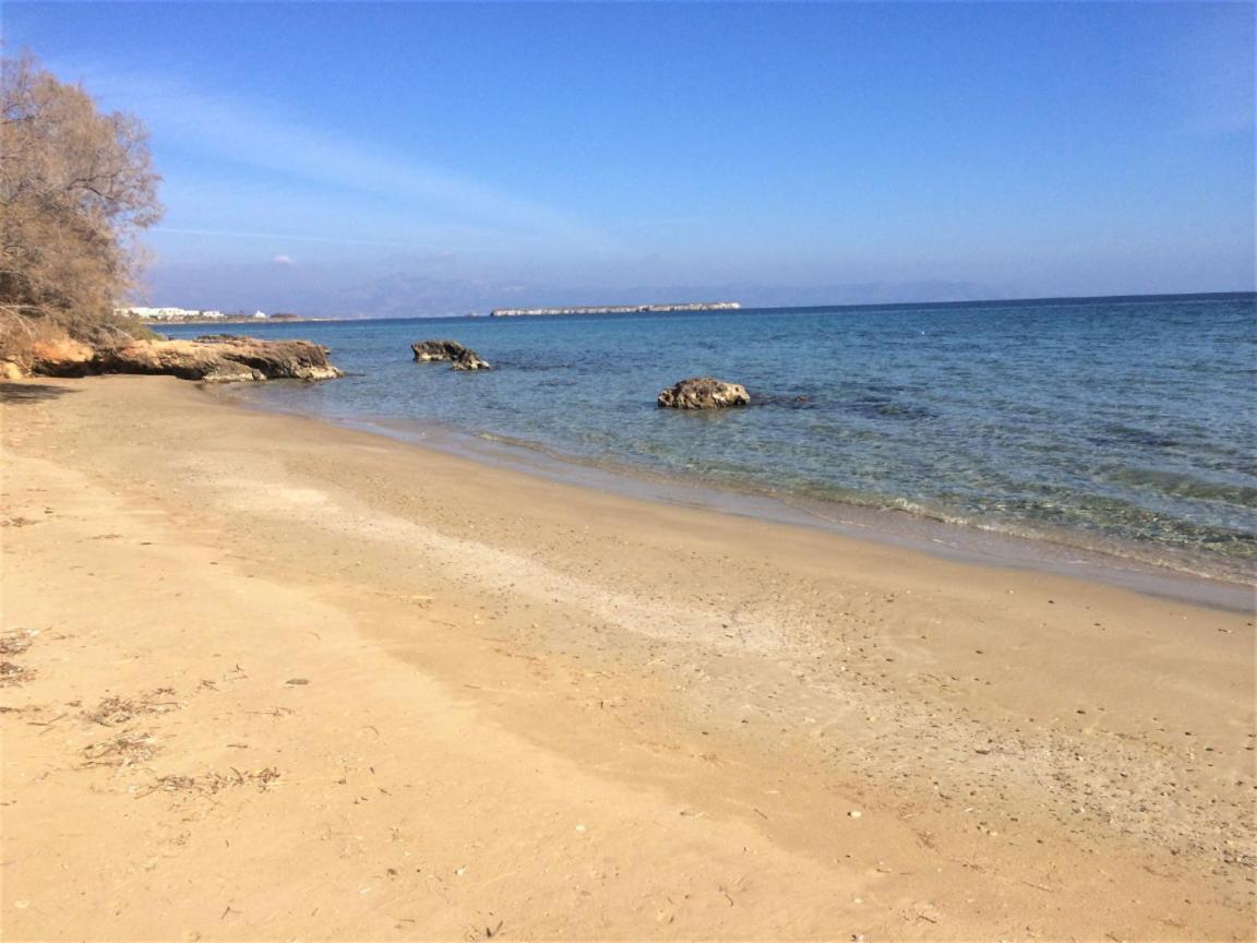 Tonia Apartments Paros Chrisi Akti  Zewnętrze zdjęcie